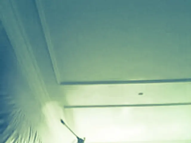 Airless spuitwerk aan een plafond door Schot Stukadoor