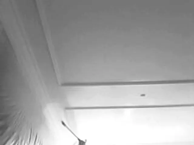 Lichtval op een glad plafond, in zwart-wit